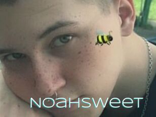 NoahSweet