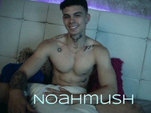 Noahmush