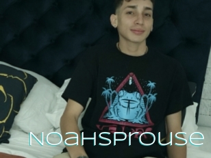 Noahsprouse