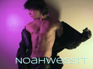 Noahwesstt