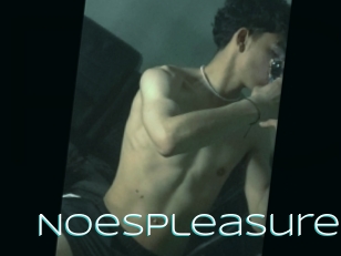 Noespleasure