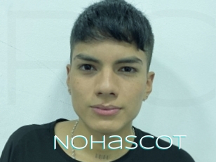 Nohascot