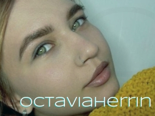 Octaviaherrin