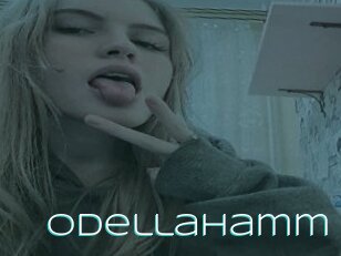 Odellahamm