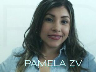 PAMELA_zv