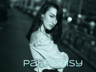 PaleDaisy