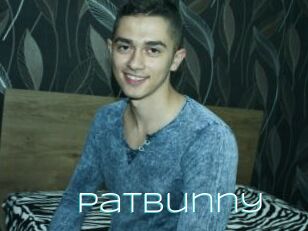 PatBunny