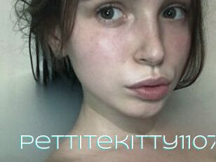 Pettitekitty1107