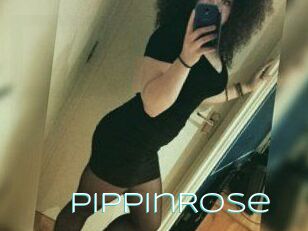 PippinRose