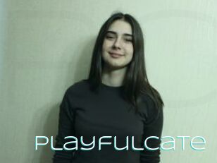 PlayfulCate