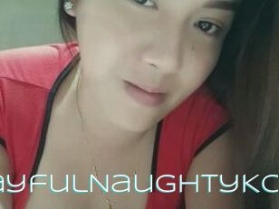 PlayfulNaughtyKc