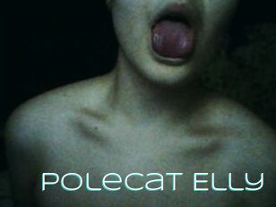 Polecat_Elly