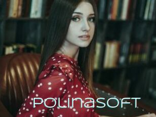 PolinaSoft