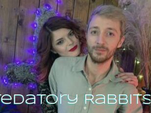 Predatory_Rabbits