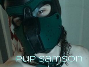 Pup_Samson