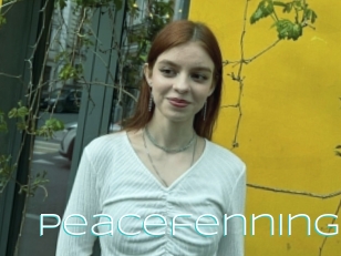 Peacefenning