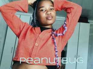 Peanutbug