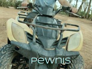 Pewnis