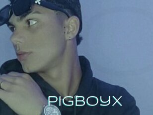 Pigboyx