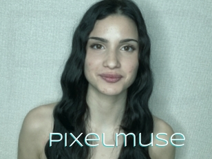 Pixelmuse