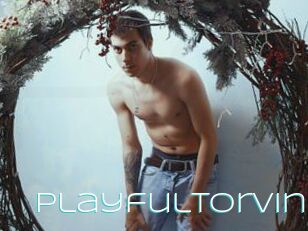 Playfultorvin