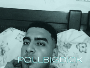 Pollbigdick