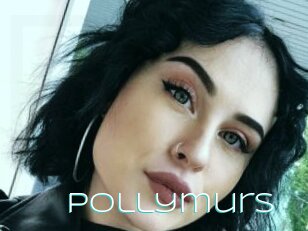 Pollymurs