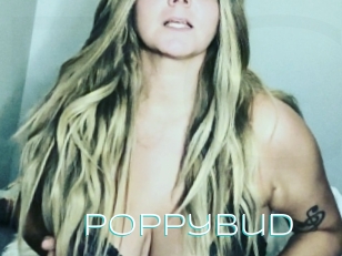 Poppybud