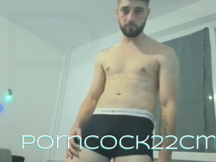 Porncock22cm