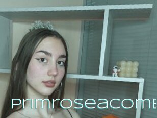 Primroseacomb