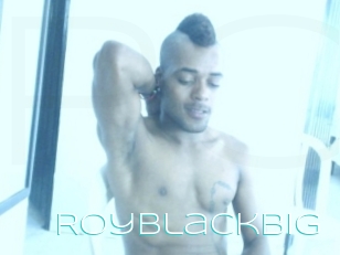 Royblackbig