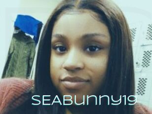 SEABunny19