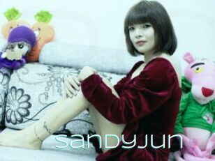 SandyJun