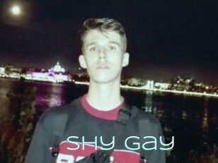 Shy_Gay