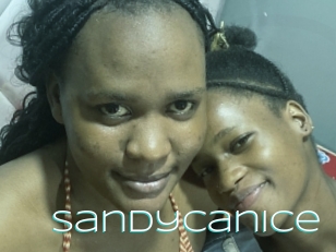 Sandycanice