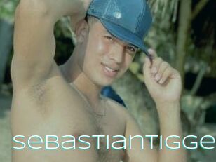 Sebastiantigger