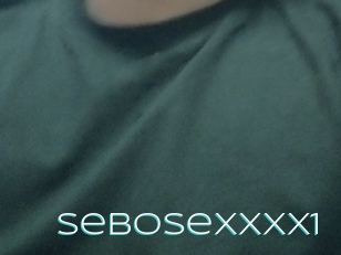 Sebosexxxx1