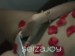 Seizajoy