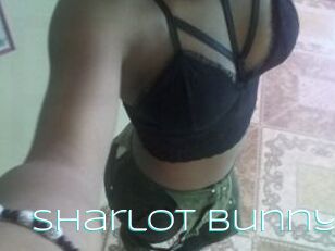 Sharlot_bunny