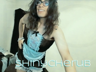 Shinycherub