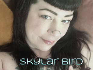 Skylar_bird