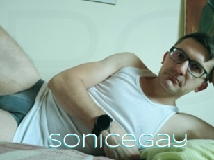 Sonicegay