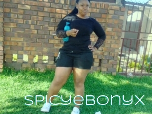 Spicyebonyx