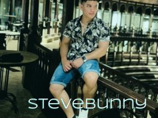 Stevebunny