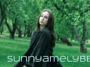 Sunnyamelybb