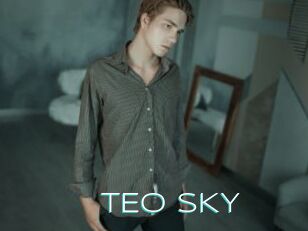 TEO_SKY