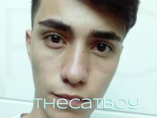 Thecatboy