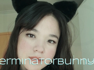 Terminatorbunny