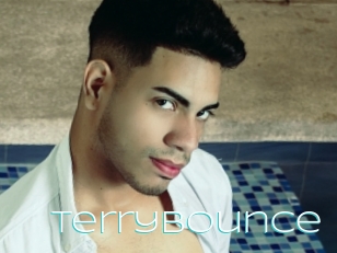 Terrybounce