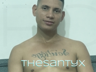 Thesantyx